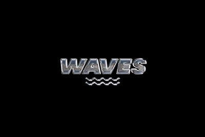 Profile image of Waves Party