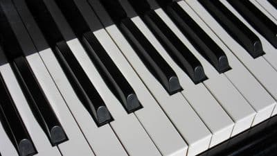 Profile image of Stuart & Fraser McLean Duo