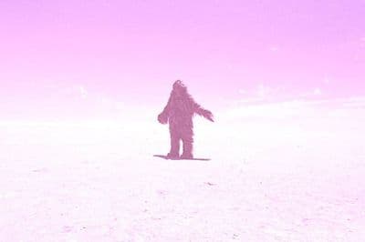 Profile image of Melanie Eden