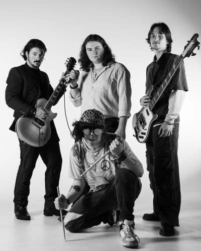 Profile image of Avista Plush