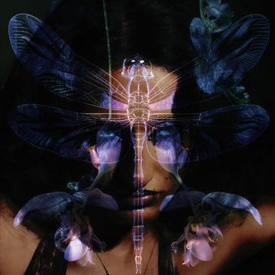 Profile image of JUPiTA