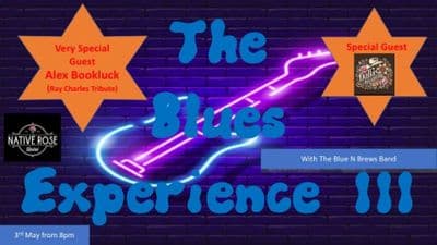 Profile image of Blues Experience