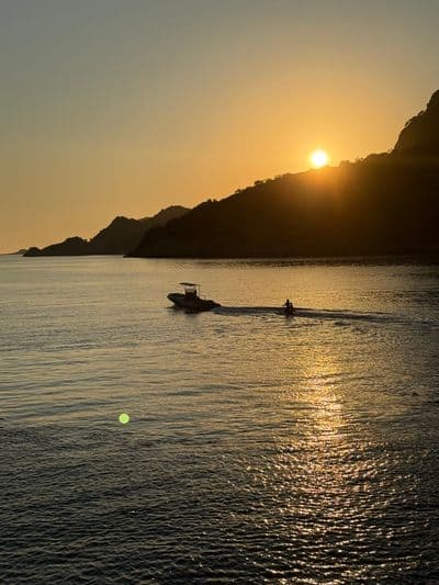 Profile image of Deia Hargreaves