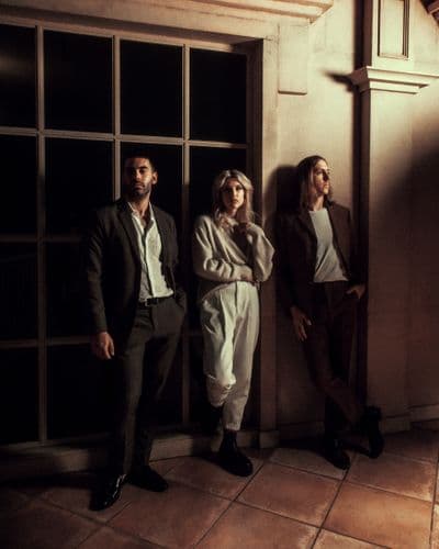 Profile image of Howlite