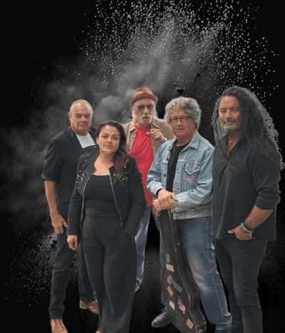 Profile image of The Fat Wallet Blues Band