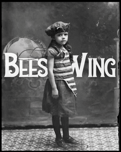 Profile image of Fiona Rea & Beeswing