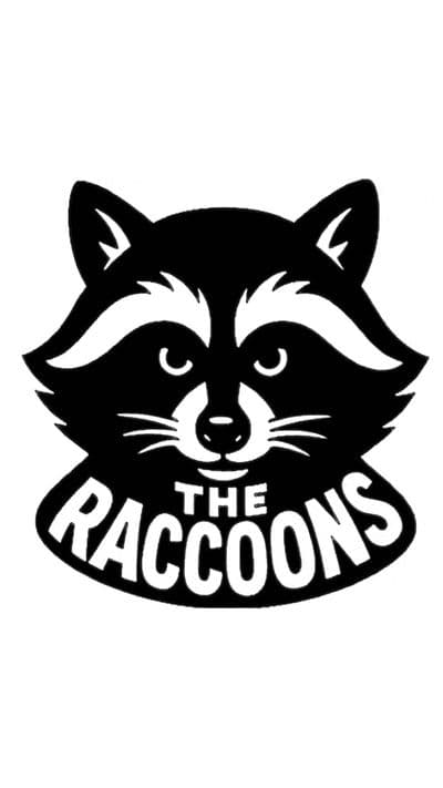 Profile image of The Raccoons