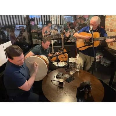 Profile image of Sons of Roisin