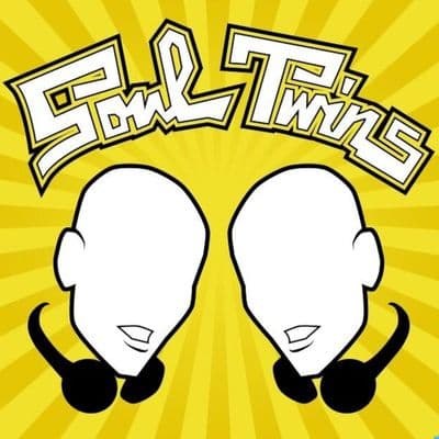 Profile image of The Soultwins