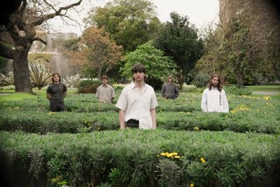 Profile image of Toadstool