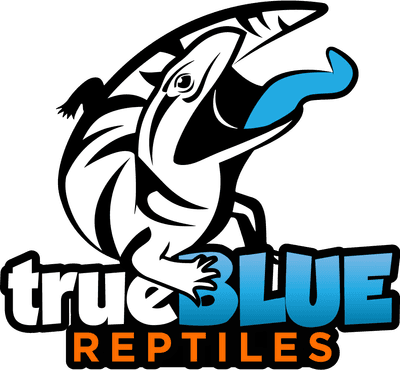 Profile image of True Blue Reptiles