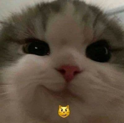 Profile image of Kurious Kat