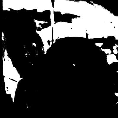 Profile image of Special Guest