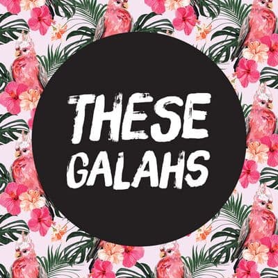 Profile image of Matt Foti (These Galahs)