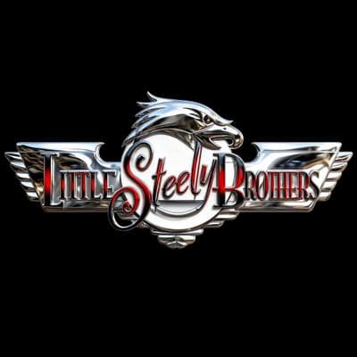 Profile image of Little Steely Brothers TPM