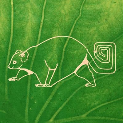 Profile image of Grove