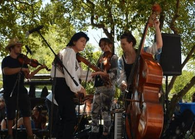 Profile image of Melbourne Folk Music Company