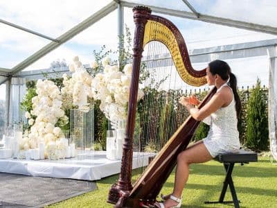 Profile image of Melbourne Harp Collective