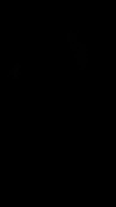 Profile image of ISSA