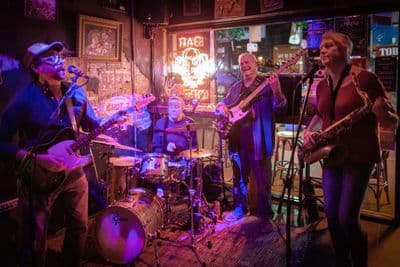 Profile image of Blueshound