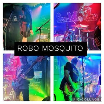 Profile image of Robo Mosquito