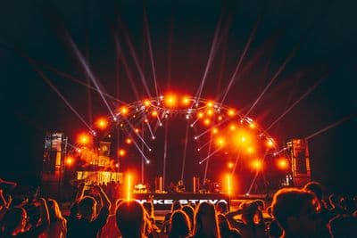 Profile image of Mike Steva