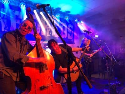 Profile image of The Sheds