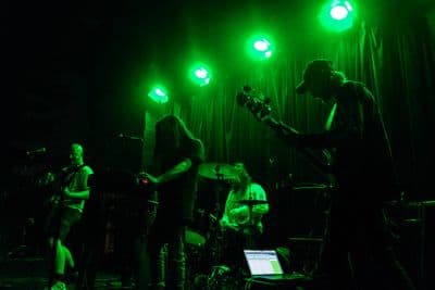 Profile image of Nasty Insects