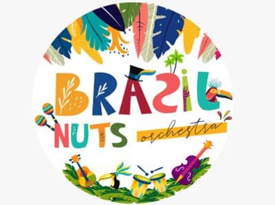 Profile image of Brazil Nuts Orchestra