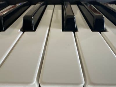 Profile image of Fenix Martinez