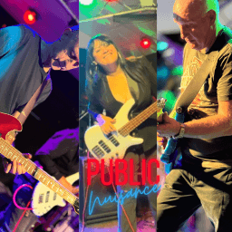 Profile image of Public Nuisance