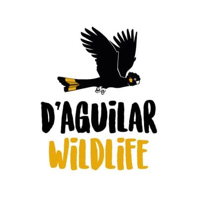 Profile image of D'Aguilar Wildlife Pty Ltd