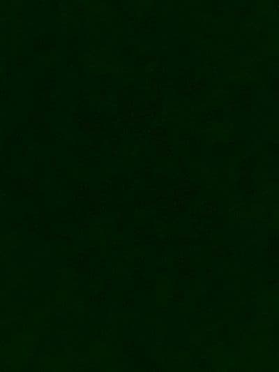 Profile image of Perla